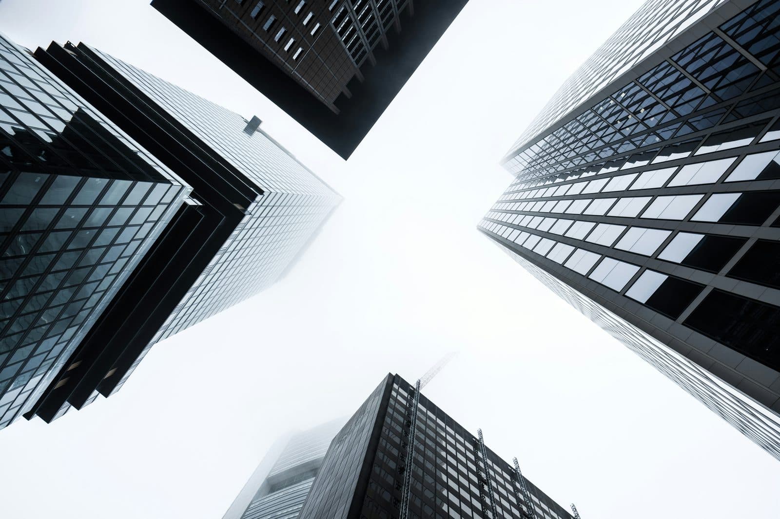 Skyscrapers, looking up
